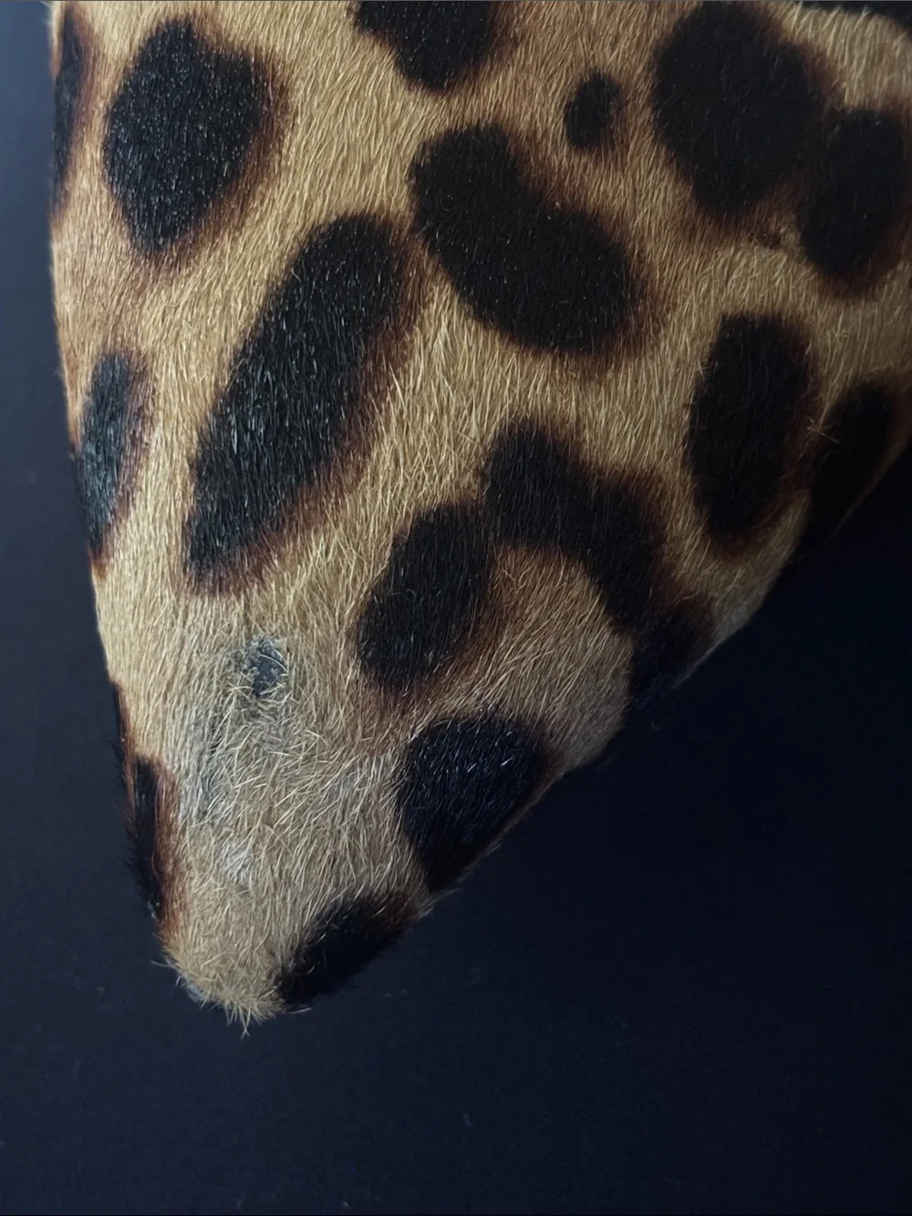 J. Crew chic leopard